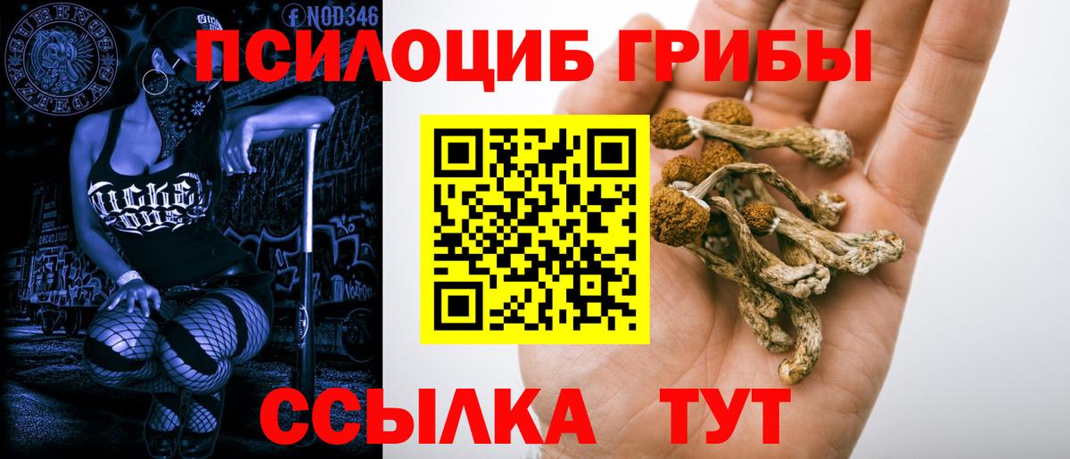 Галлюциногенные грибы Cubensis Сызрань