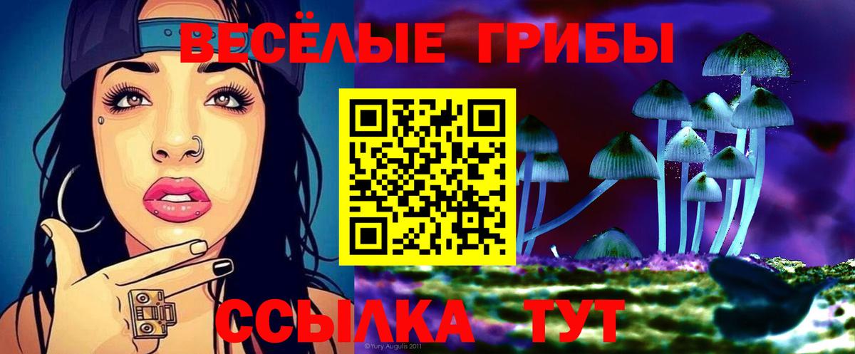 Сызрань  Псилоцибиновые грибы Psilocybine cubensis  Вход с VPN 